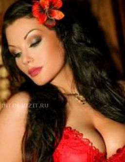  , , +7 (995) 569-8013