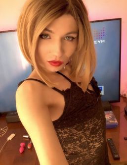 ����� �������, ������������, +7 (995) 673-0517